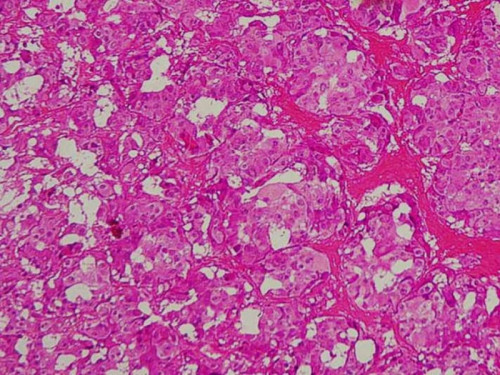 Histologie